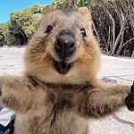 Corey Morgan - @corey_morgan_ - Instagram
