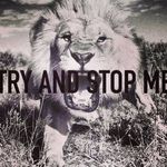 Corey Morgan - @coreyjmorgan - Instagram
