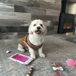 Corey Morgan - @coreymorgan1822 - Instagram