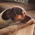 Cory Mortensen - @freshbubbalou - Instagram