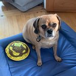 Corey Mott - @cmott518 - Instagram