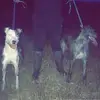 Corey Mount - @corey.mount1 - TikTok