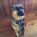 Korey Muller - Facebook