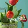 CoreyMurphy - @henribihcjd - TikTok