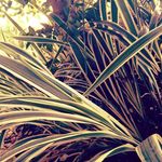 Corey Newman - @editing_photos21 - Instagram