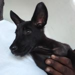 Corey Newman - @corey.newman.758737 - Instagram