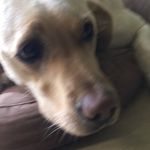 Coreyluke Nichols - @_corey_nichols_ - Instagram
