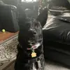 Corey Olson - @cj.oly28 - TikTok