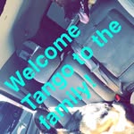 Corey Osborne - @bellatango_gsd - Instagram