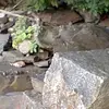 coreypaddack - @coreypaddack - TikTok