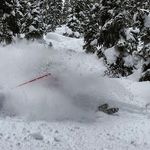 Cory Paddock - @cory.paddock - Instagram