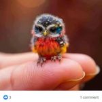 Corey Parks - @cparksenterprisellc - Instagram