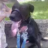 Corey Parks - @rubetta522069 - TikTok