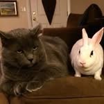 Corey Paul - @daisyc1973 - Instagram