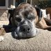 Corey Paul - Facebook