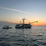 Corey Pinder - @sumo751 - Instagram