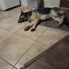 Corey Pittman - @corey.pittman3 - TikTok