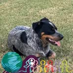 Corey Pittman - Facebook