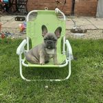 corey proctor - @coreyproctor96 - Instagram