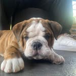 Corey Ramsay - @corznack - Instagram