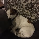 Corey Ramsay - @corey_134ggg - Instagram