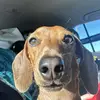 Jimbob42 - @corey_ransom9 - TikTok