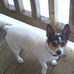 Corey Raymer - Facebook