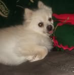 Corey Reding - Facebook