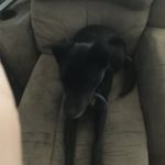 Coreyredmond - @coreyredmond2643corey4456 - Instagram