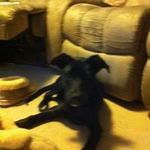 coreyredmond - @coreyredmond18 - Instagram