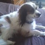 Corey Reese King - @killerselfdestruct - Instagram