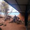 Corey Reid - @corey.reid4 - TikTok