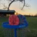Corey Reimer - Facebook