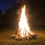 Corey  Rex - @therexregum - Instagram