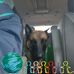 Cory Rex  - Facebook