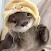Corey - @coreyrhoads - TikTok