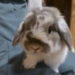 Corey - @corey_rider_nigou - Instagram
