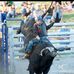 Corey rickard professional bull rider - Facebook