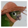 corey Rieck - @corxo - TikTok