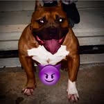 Corey Rivers - @sno_cappalot3x - Instagram