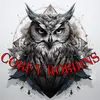 coreyrobbinsmusic - @coreyrobbinsmusic - TikTok