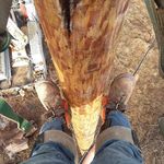 corey robbins - @coreyrobbins4 - Instagram