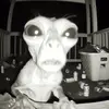 CoreyRobbins - @abigavewonl - TikTok