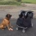 Corey Robert - Facebook