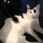 Corey Robson - @coreyrobson4613 - Instagram