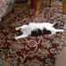Corey Roche - Facebook