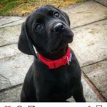 Corey Rock - @_corey_rock_ - Instagram