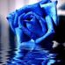 Corey Roe - Facebook