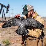Corey Roelke - @corey_roelke - Instagram