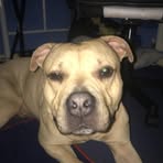 Corey Roebuck - Facebook